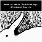 What You See In These Pictures Says A Lot About Your Life