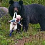 Bear Refuses To Let Baby Go – Ranger Bursts Into Tears When He Discovers Why