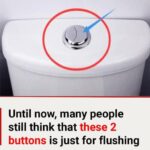 Many people still think that these 2 buttons is just for flushing