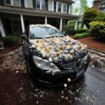 My Neighbor Egged My Car Over Halloween Decorations—You Won’t Believe His Reason