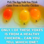 How to Choose Healthy Eggs for Cooking