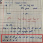 Cô giáo ra đề “Từ nào bỏ dấu sắc vẫn giữ nguyên nghĩa”, đáp án của bé tiểu học nhận điểm 10 tuyệt đối