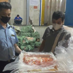 Phát hiện kho đông lạnh ở Hà Nội chứa hơn 7 tấn nội tạng không rõ nguồn gốc