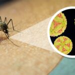 Dấu hiệu điển hình của viêm não Nhật bản