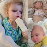 Against All Odds: The Remarkable Strength of Young Fighter Rowan.2311