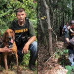 K-9 finds missing 3-year-old Florida boy with autism in less than 30 minutes