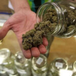 Marijuana Use Causing Psychosis, Addiction, Rare Syndrome Especially Among Young Adults: Report