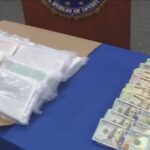 21 kilograms of fentanyl, $380K seized; 2 arrested in Clayton County drug bust