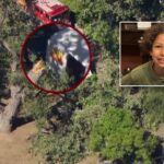 Family files lawsuit after 8-year-old boy killed by falling branch at summer camp