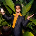 Where Does Bruno Mars Live? Examining the Singer’s Real Estate Portfolio