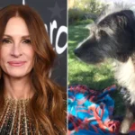 Julia Roberts Announces Death of Her Legendary 19-Year-Old Dog Myrtle