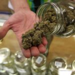 Marijuana Use Causing Psychosis, Addiction, Rare Syndrome Especially Among Young Adults: Report