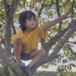 Missing 5-year-old Maryland boy found dead, police say