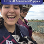 STR- Friends Set Out On Bike Ride Alone And Cycle Home With Shirts Full Of Babies