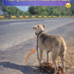 STR- Eyes That Waited by the Roadside: The Rebirth of an Abandoned Soul