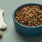 10 Best Air-Dried Dog Foods