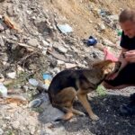 The Cries in the Wilderness: A Soul’s Journey from Despair to Hope