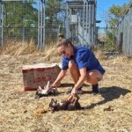 A Sweet “Attack”: Rescuing Abandoned Puppies by the Roadside