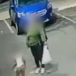 Autistic boy, 5, found wandering outside NYC laundromat while mom in custody for alleged home invasion