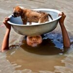 Rescuing a Dog from Dangerous Floodwaters