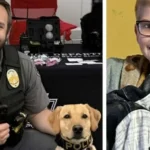 Child with autism found safe by K9 officer after going missing in bitter cold