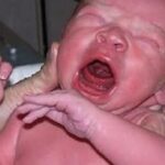 Abortionist Drowned a 34-Week-Old Baby Who Survived Abortion in a Bucket of Water