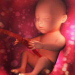 Scientists Confirm Unborn Children Feel Excruciating Pain During Abortions