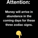 The screen lit up with a red notification that I couldn’t possibly overlook that morning