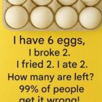 The 6-Egg Riddle — Answer Revealed