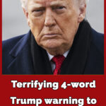 Trump issues new 4-word warning to Greenland