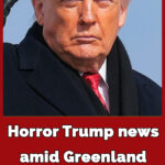 Former CIA spy says he knows ‘true reason’ Trump wants to take over Greenland