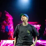 Chris Brown Wants Rihanna Left Out Of $90 Million Battle With Ex-Housekeeper