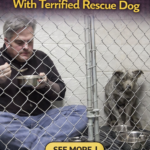 str-When Patience Heals Deep Wounds: The Story of Gracie and Dr. Matthysse