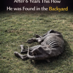 A Betrayed Promise of Happiness and the Journey to Recovery After 6 Years of Hell