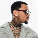 Chris Brown Wants To Limit Scope Of Dog Attack Lawsuit Before Trial