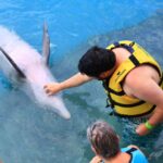 ST. Celebrity Cruises apologizes after autistic man was kicked off ship in Mexico on Christmas Eve