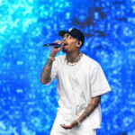 Chris Brown Seeks to Exclude Rihanna From Dog Attack Lawsuit