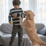 My Dog Jumps on Guests Entering — Why It Happens & How to Stop It