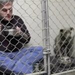 When Patience Heals Deep Wounds: The Story of Gracie and Dr. Matthysse