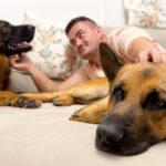 Dog Gets Jealous When I Pet Other Dogs