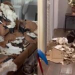 Dog Breaks Things When Left Alone: Causes, Solutions, and When to Get Help