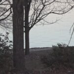 ‘It’s a terrible thing’ | Putnam County sheriff shares details in drowning of 7-year-old Autistic child in Eatonton.