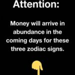 The screen lit up with a red notification that I couldn’t possibly overlook that morning