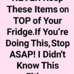 Fridge — Do This Immediately! (I Had No Idea Either)