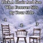 Select a Chair to Discover Who Will Always Be by Your Side!
