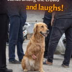 One Leg Lost, But Still Smiling: The Journey of a Small Warrior’s Revival