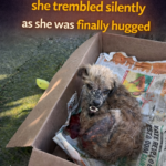 Rejected for her looks, she trembled silently as she was finally hugged