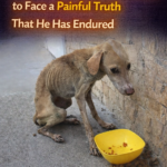 He is Shy, Timid, Does Not Dare to Face a Painful Truth That He Has Endured