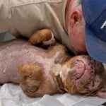 4 Years Living in the Shadows, This Pittie Leaned Against Me and Knew She Was Safe