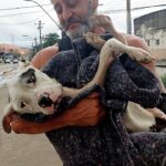 He Broke Down in My Arms, Frail & Starving, Tears Falling From a Soul That Never Known Kindness